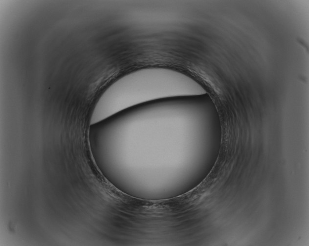 X0000091960545200709061102