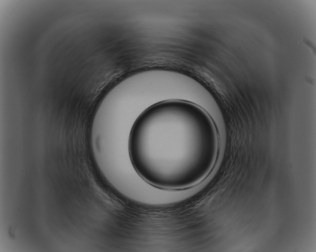X0000091960546200709061102