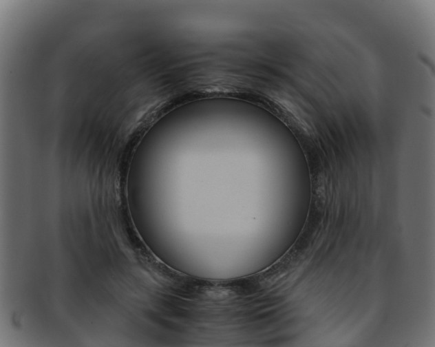 X0000091960547200709061102