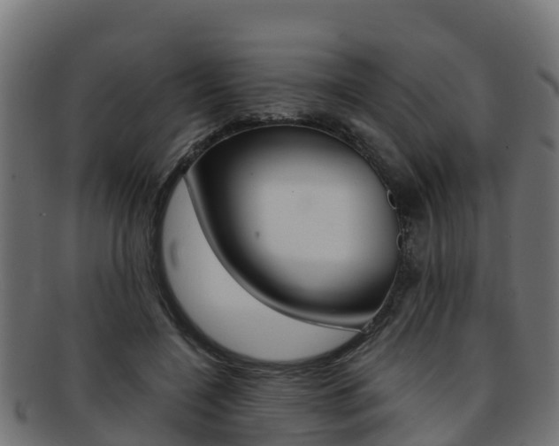 X0000091960548200709061102
