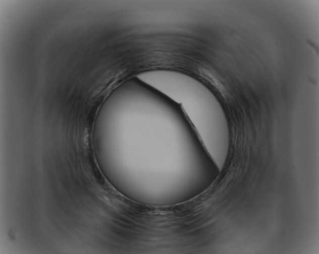 X0000091960549200709061102