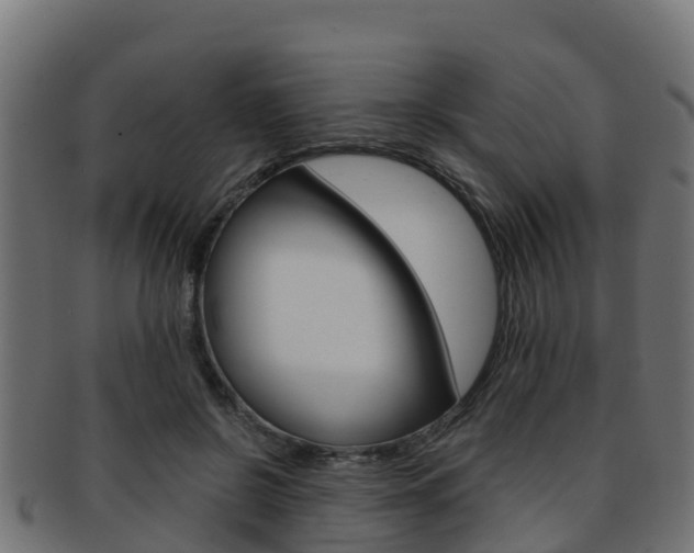 X0000091960550200709061102