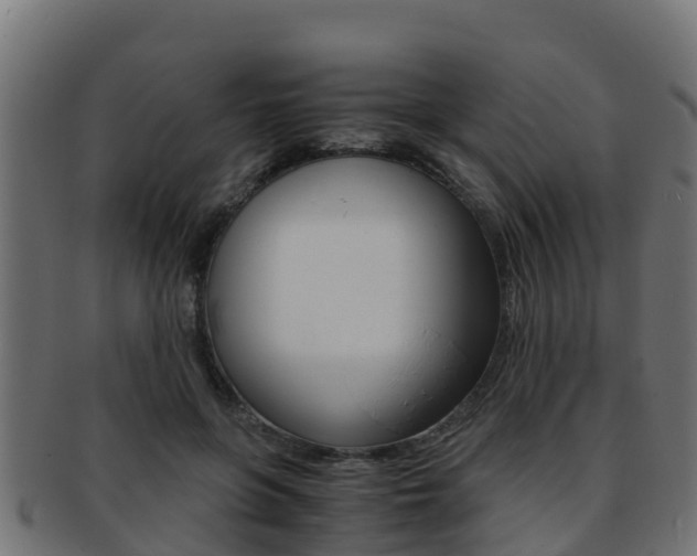 X0000091960551200709061102