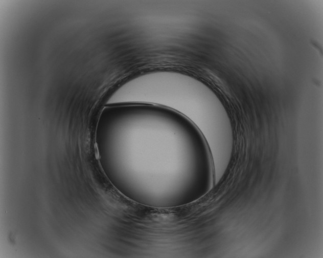 X0000091960552200709061102