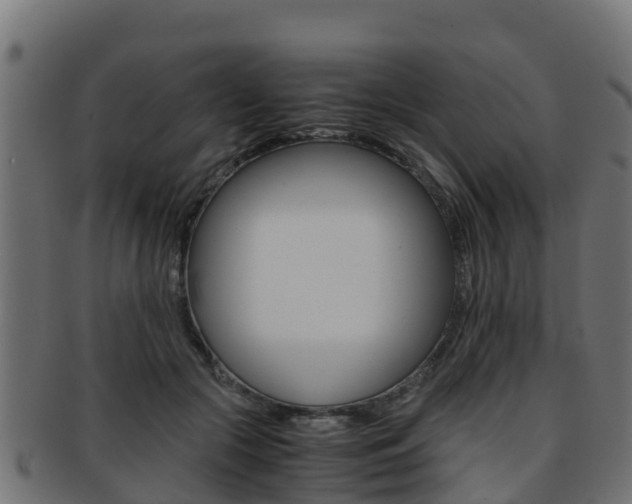 X0000091960553200709061102