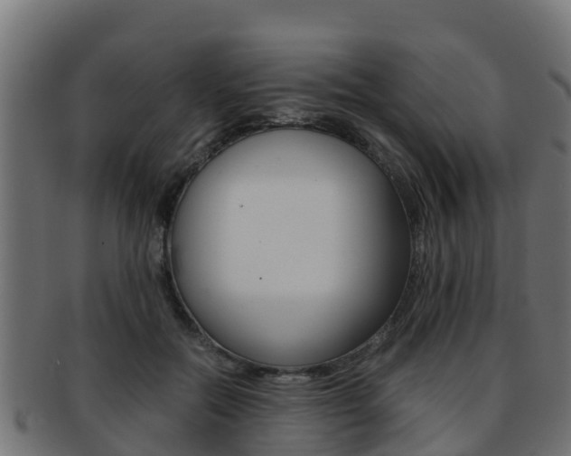 X0000091960554200709061102