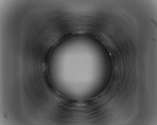 X0000091960555200709061102