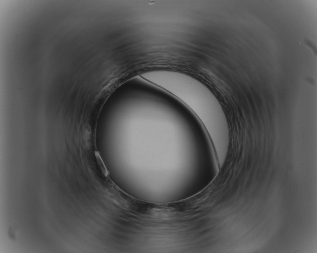 X0000091960556200709061102