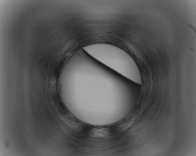 X0000091960557200709061102