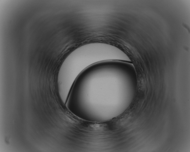 X0000091960558200709061102