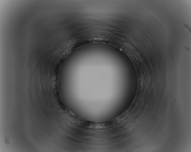 X0000091960559200709061102