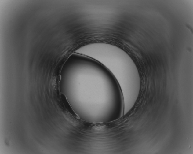X0000091960560200709061102