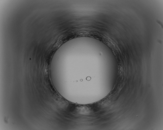 X0000091960561200709061102
