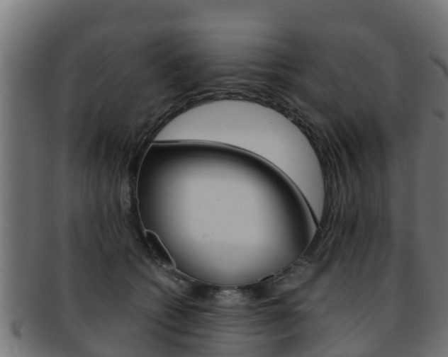 X0000091960562200709061102