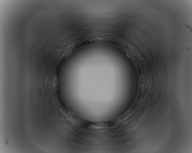 X0000091960563200709061102