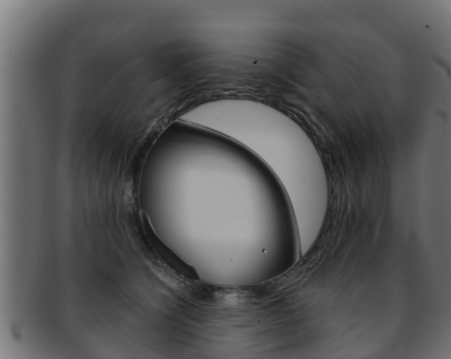 X0000091960564200709061102