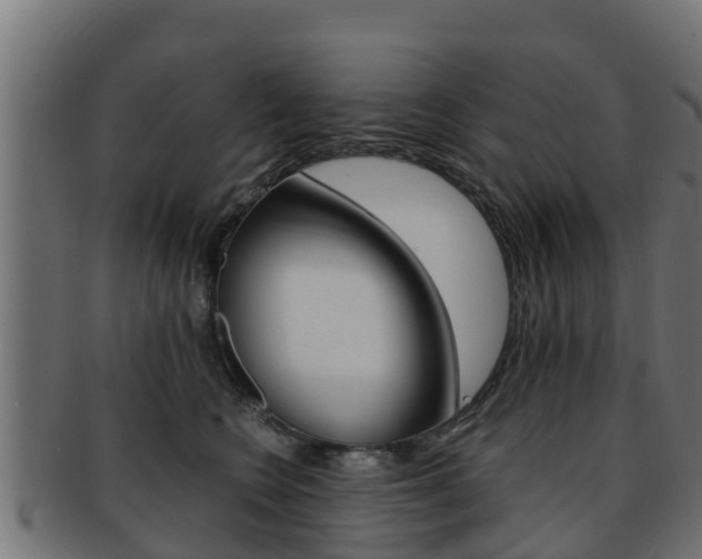 X0000091960566200709061103