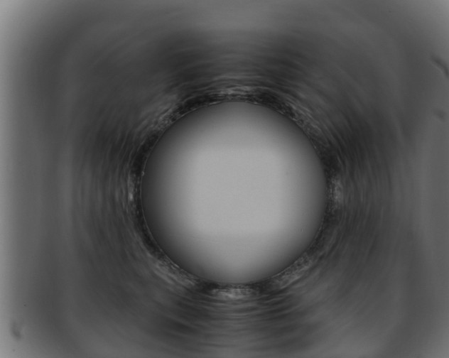 X0000091960567200709061103