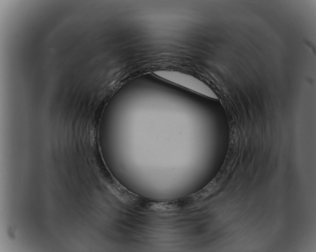 X0000091960568200709061103