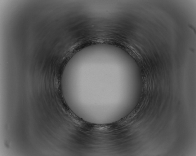 X0000091960569200709061103