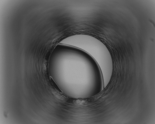 X0000091960570200709061103