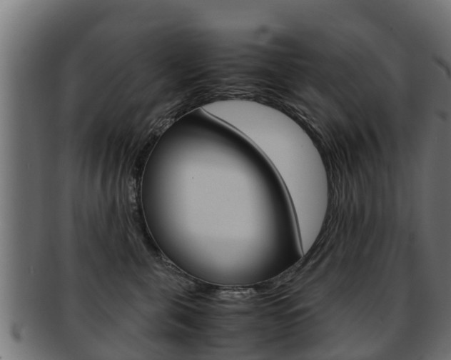 X0000091960571200709061103