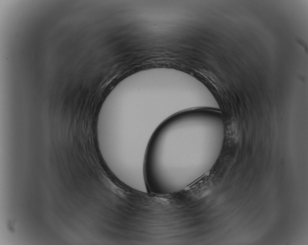 X0000091960572200709061103