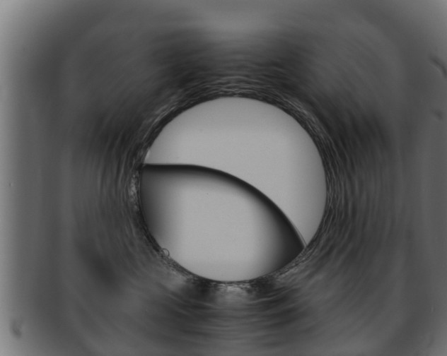 X0000091960573200709061103