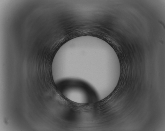 X0000091960574200709061103