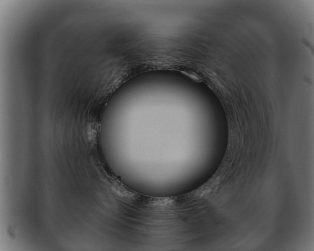 X0000091960576200709061103