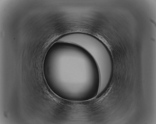 X0000091960577200709061102