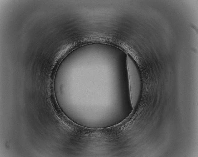 X0000091960578200709061102