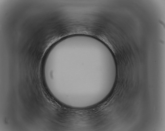 X0000091960579200709061102