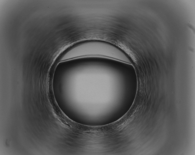 X0000091960580200709061102