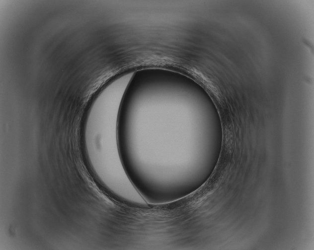 X0000091960581200709061102