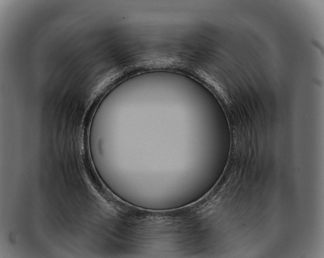 X0000091960582200709061102