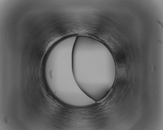 X0000091960583200709061102