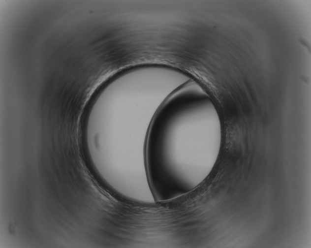 X0000091960584200709061102