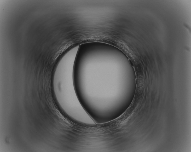 X0000091960585200709061102