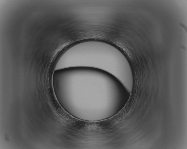 X0000091960587200709061102