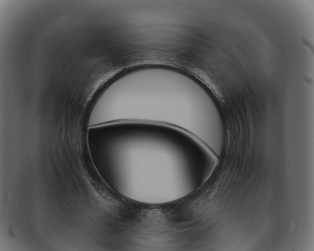 X0000091960588200709061102