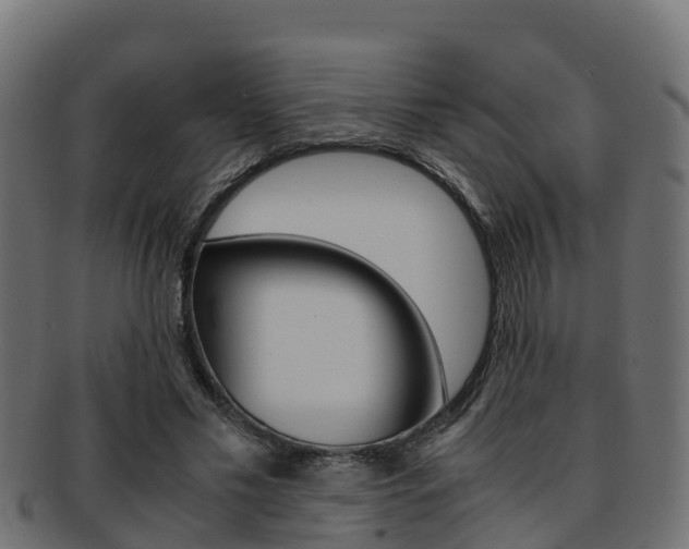 X0000091960589200709061102
