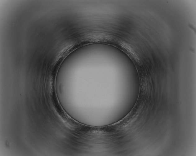 X0000091960590200709061102