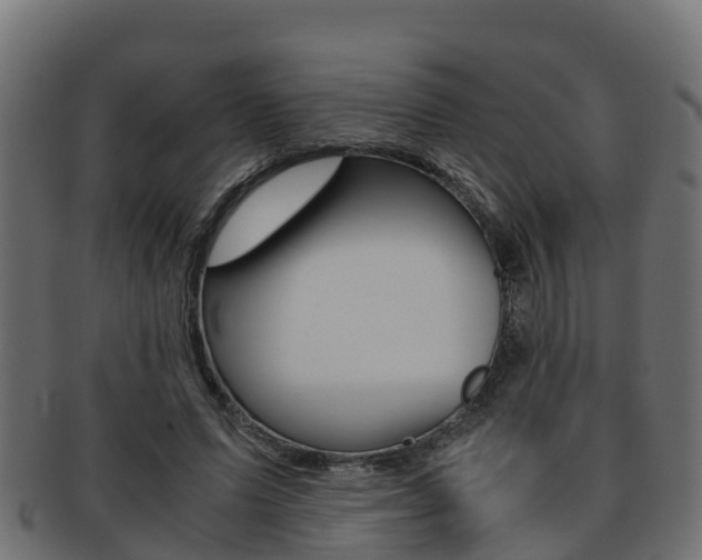 X0000091960591200709061102