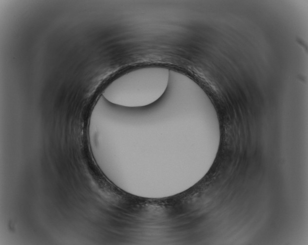 X0000091960592200709061102