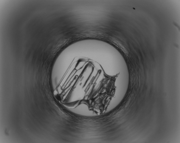 X0000091960593200709061102