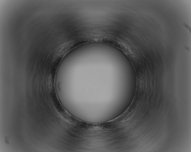 X0000091960594200709061102