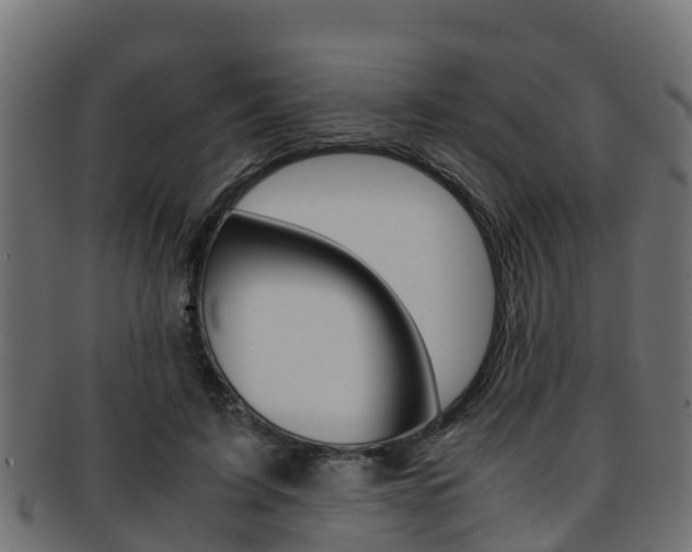 X0000091960595200709061102