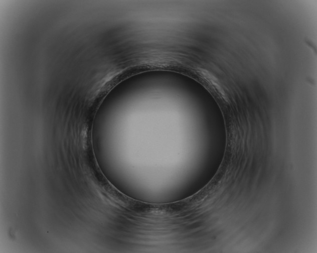 X0000091960596200709061102