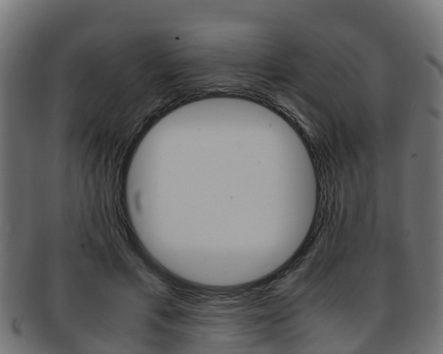 X0000091960597200709061101
